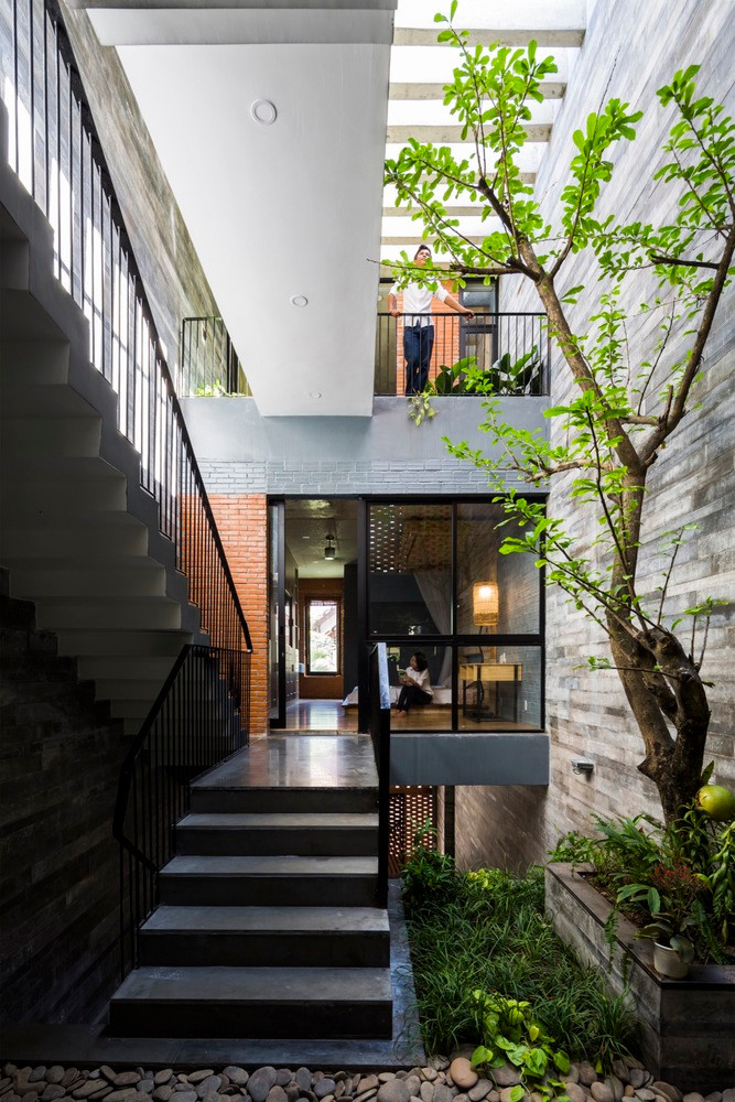 Cây xanh tươi tốt, tràn đầy sức sống.