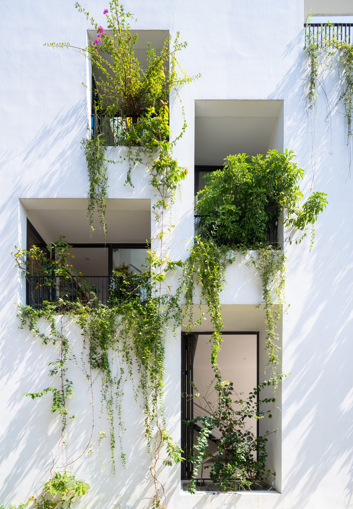 Đáp ứng nhu cầu của gia đình, thay vì tận dụng hết quỹ đất để xây dựng, kiến trúc sư quyết định lùi toàn bộ 4 mặt của căn nhà, chừa một khoảng đất bao quanh để trồng cây, tạo thảm cỏ xanh mướt mắt.