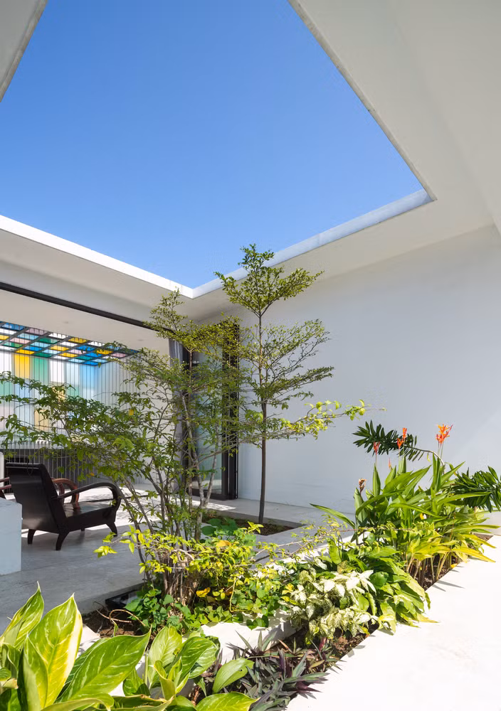 Để "phủ xanh" không gian sống, kiến trúc sư bố trí cây xanh xuyên suốt bên trong căn nhà.