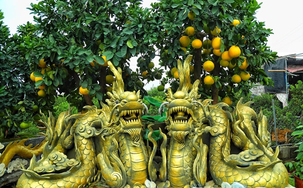 Thế nhưng, để có nhiều tác phẩm như vậy thì phải cần thân cây bưởi đã già cỗi bị lũa. Tuy nhiên, do rất khó để tìm kiếm nên chủ vườn suy nghĩ đến việc dùng bê tông tạo thành các tác phẩm để làm chậu sau đó đặt cây bưởi lên. Ảnh: Daidoanket