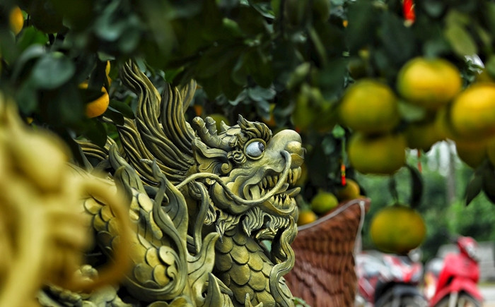 Từ tháng 8/2023, chủ vườn phải lựa chọn những cây bưởi dáng thế đẹp sau đó thiết kế chậu sao cho phù hợp. Ảnh: Daidoanket