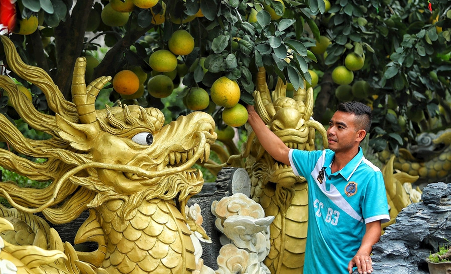 Theo chủ vườn bưởi cảnh, chậu bưởi hình con rồng khổng lồ được lấy ý tưởng từ năm 2016 trên một thân cây bưởi đã bị lũa. Anh thuê thợ đục đẽo biến gốc cây đấy thành một tác phẩm nghệ thuật đẹp mắt. Ảnh: Daidoanket
