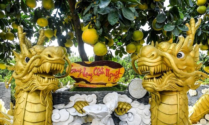 Để chăm sóc một cây bưởi trong chậu ra sau quả không đơn giản, người làm vườn cần phải có kỹ thuật và giàu kinh nghiệm. Ảnh: Nhandan