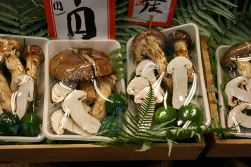 Nấm tùng nhung Nhật Bản được đánh giá cao nhờ mùi thơm đặc biệt, kết cấu thịt và vị đậm đà. Ảnh: Kyoto Foodie