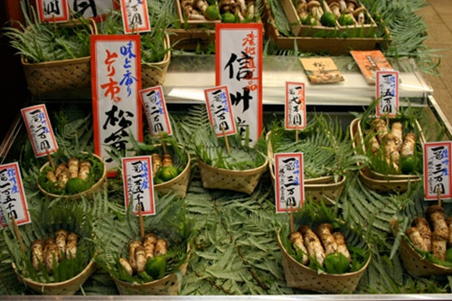 Trong khi nấm Matsutake nhập khẩu giá khoảng 100 USD/kg hoặc thấp hơn thì nấm Nhật Bản có thể đắt gấp hơn 10 lần con số đó. Ảnh: Kyoto Foodie