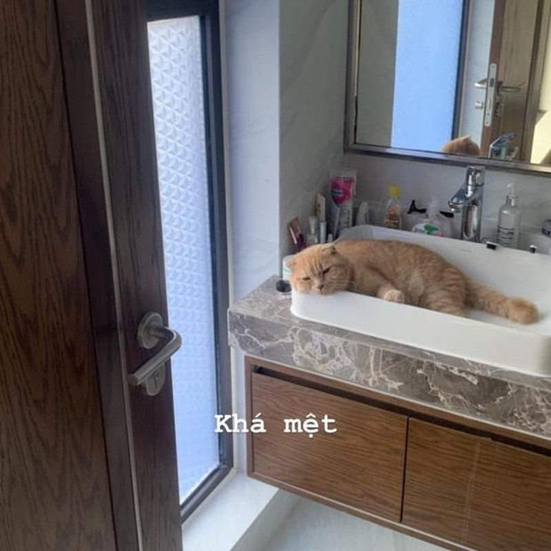 Phòng tắm đơn giản nhưng thoáng đãng. Ảnh: FB Mai Phuong Thuy