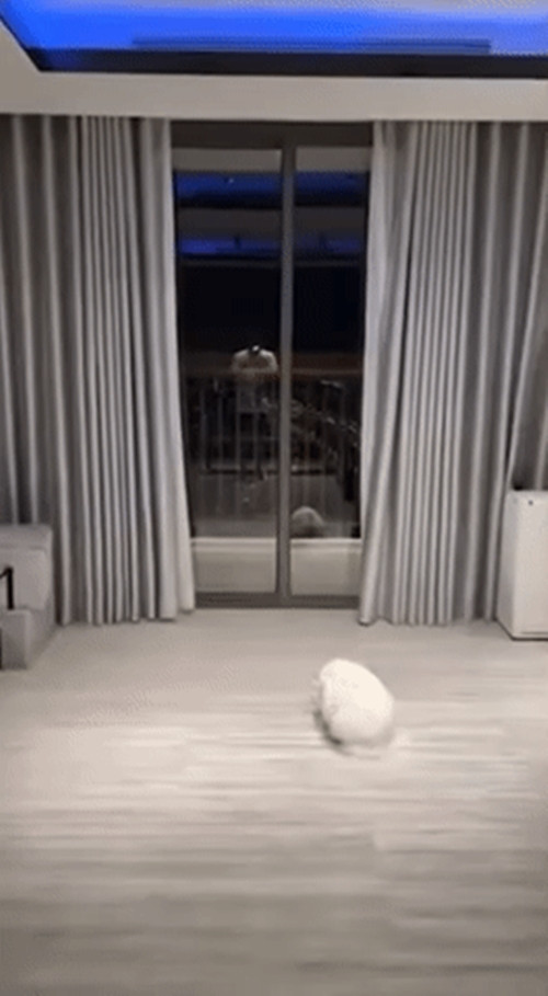 Căn hộ còn sử dụng dàn đèn led âm tường sang trọng, có thể điều chỉnh nhiều góc độ ánh sáng khác nhau tùy nhu cầu sử dụng.