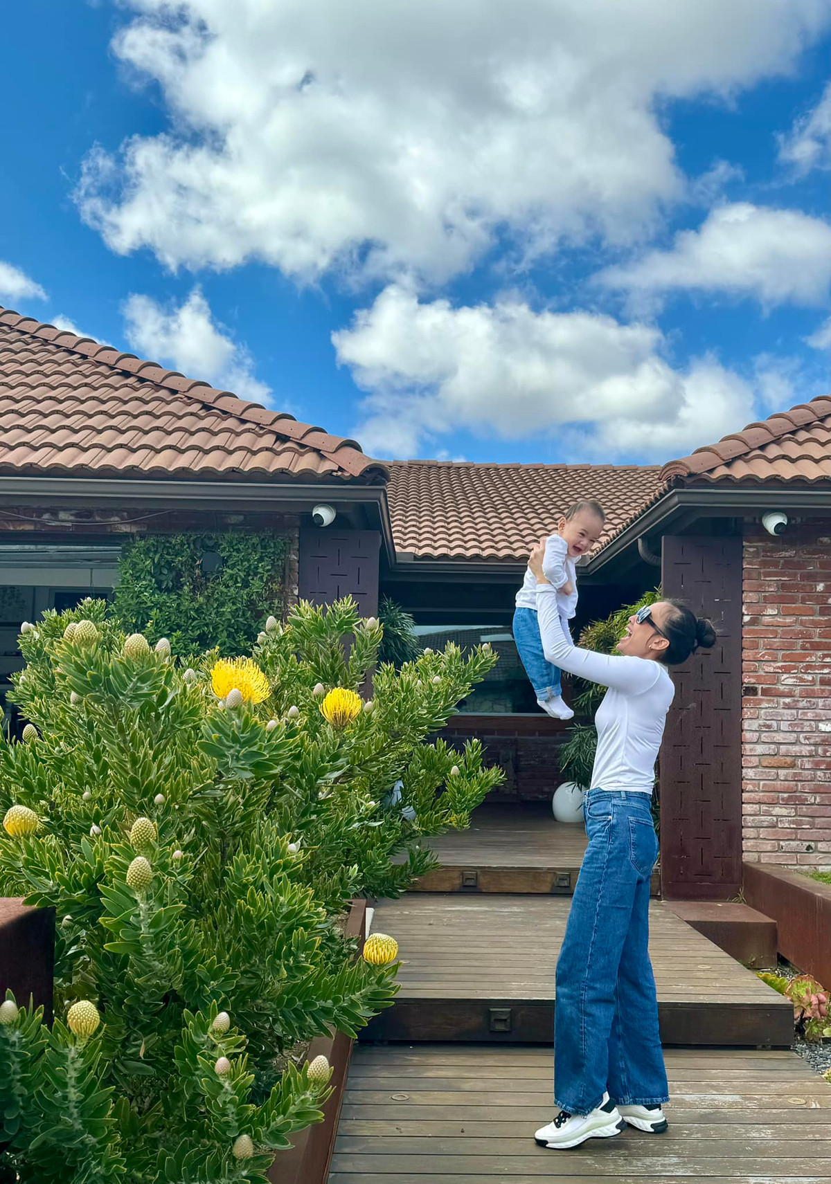 Hoa proteas có nguồn gốc từ Nam Phi và Úc, ngày nay được trồng ở một số vùng của Mỹ.