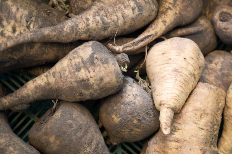 Và hầu hết những thực phẩm bỏ đi ở đây thuộc trường hợp thứ hai. Điều đó có nghĩa là hương vị của chúng có thể sẽ kém ngon hơn, nhưng vẫn có thể ăn được. Ảnh: Sirplus