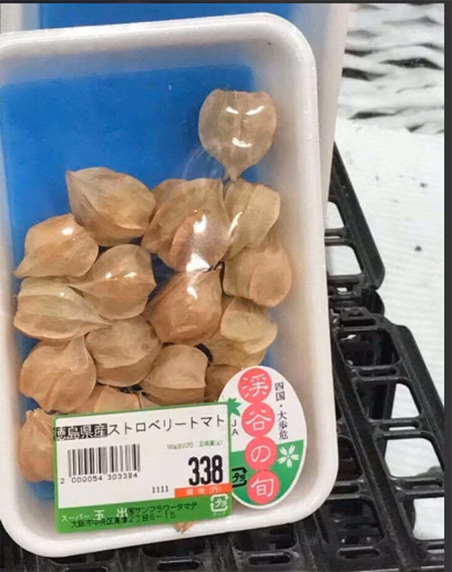Tuy nhiên vào năm 2017, bức ảnh được chia sẻ trên mạng xã hội Facebook cho thấy, một khay tầm bóp 100g được bán với giá 338 yen, tương đương 70.000 đồng trong siêu thị ở tỉnh Tokushima (Nhật Bản). Điều này đồng nghĩa 1kg quả tầm bóp có giá tới 700.000 đồng. Ảnh: Facebook