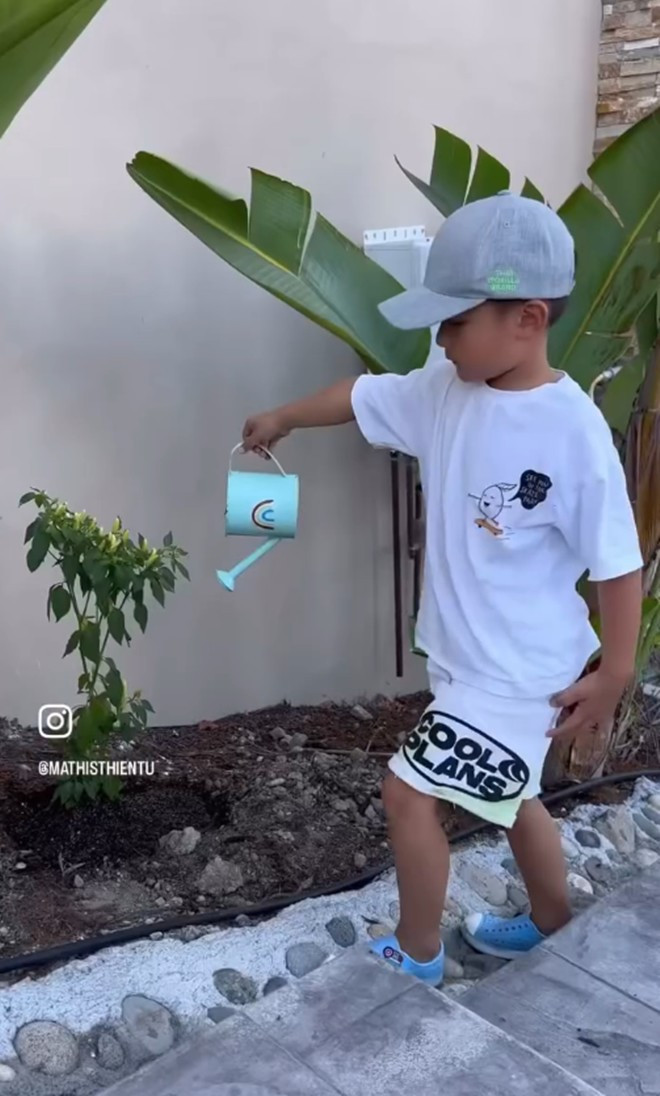 Cậu nhóc Thiên Từ giúp mẹ trồng và tưới nước cho cây.