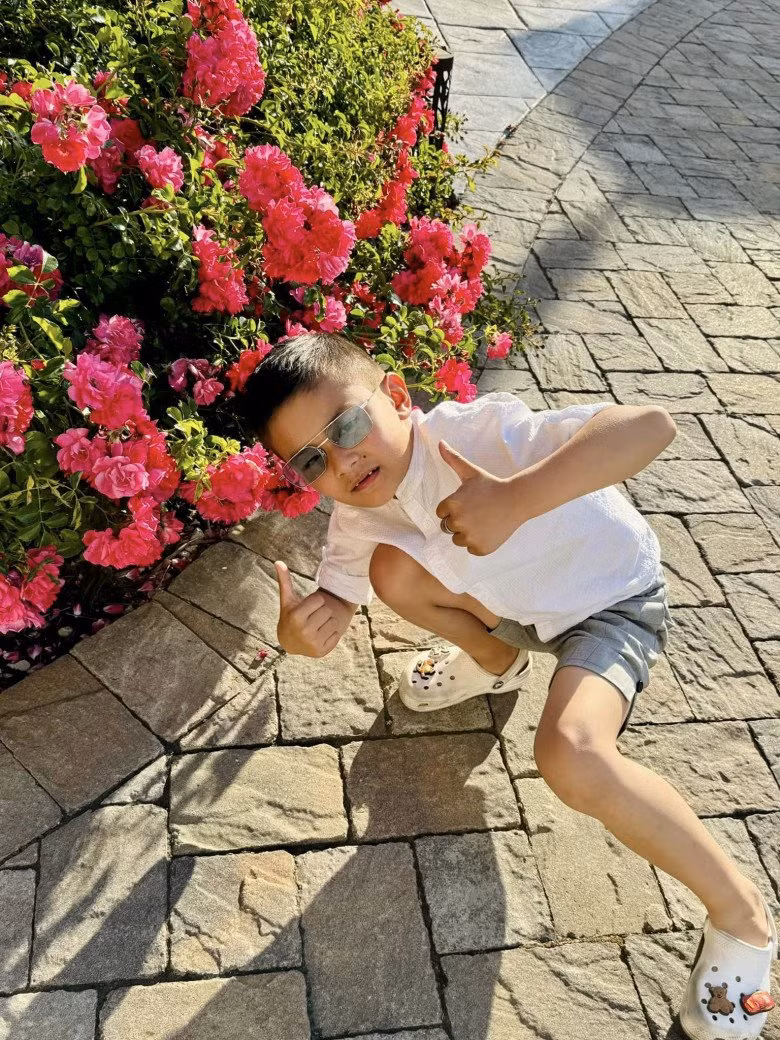 Vườn hoa rực rỡ, tràn ngập hơi thở thiên nhiên.