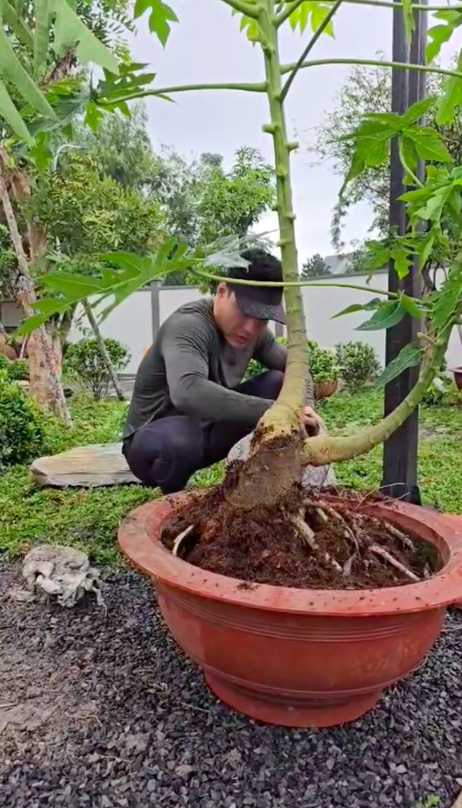 Cứ ngỡ Lê Dương Bảo Lâm chia sẻ bí quyết làm giàu hay vừa nhận hợp đồng lớn, nhưng thực tế clip là "tiểu phẩm" lầy lội do nam diễn viên hài dựng lên. Ảnh: chụp màn hình