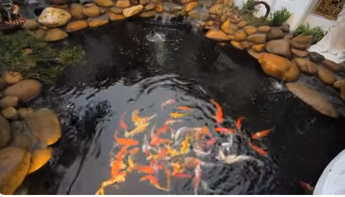 Với bể cá Koi, riêng phần bể đã tốn 450 triệu đồng, chưa tính phần hàng rào và tượng trang trí.