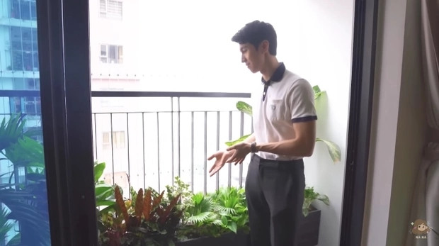Ban công trồng nhiều cây xanh. Nguồn ảnh: chụp màn hình TikTok