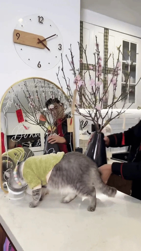 Ngoài dơn, Bình An - Phương Nga còn tô điểm không gian sống bằng cành đào phai nhỏ xinh.