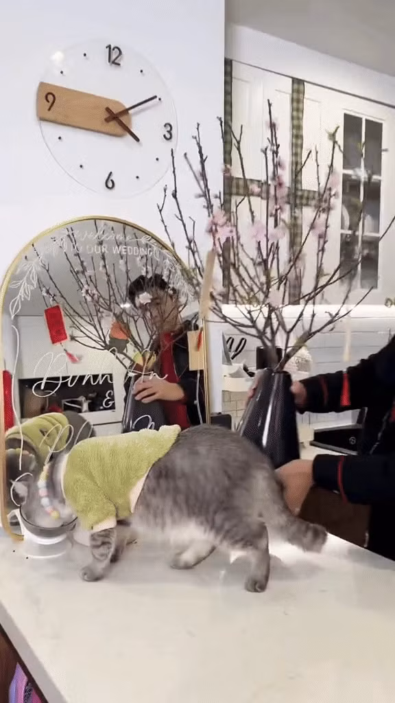 Ngoài dơn, Bình An - Phương Nga còn tô điểm không gian sống bằng cành đào phai nhỏ xinh.