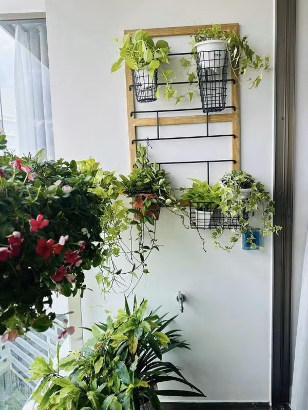 Ban công gọn gàng, ngập tràn sắc hoa. Ảnh: FBNV