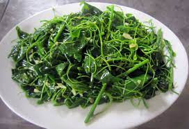 Phần ngọn và lá non của rau bò khai thường được sử dụng để làm thực phẩm, chế biến các món rau trong bữa ăn hàng ngày như luộc, xào tỏi, xào thịt... Ảnh: Internet