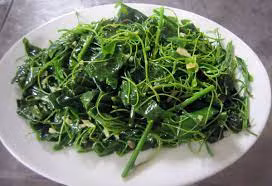 Phần ngọn và lá non của rau bò khai thường được sử dụng để làm thực phẩm, chế biến các món rau trong bữa ăn hàng ngày như luộc, xào tỏi, xào thịt... Ảnh: Internet