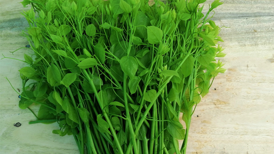 Tại Hà Nội, rau bò khai được bán ở vỉa hè với giá 50.000 đồng/kg. Ảnh: Facebook