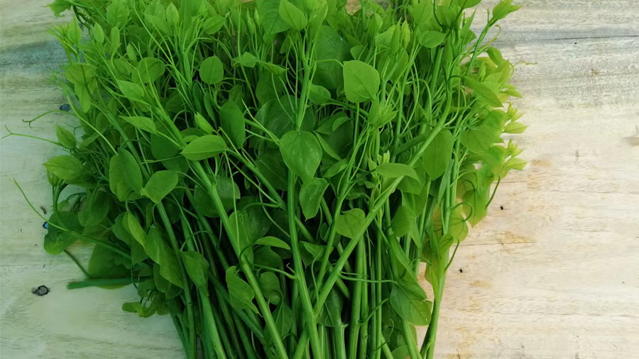 Tại Hà Nội, rau bò khai được bán ở vỉa hè với giá 50.000 đồng/kg. Ảnh: Facebook