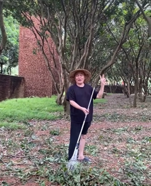 Trước đó, nghệ sĩ Xuân Hinh đăng tải ảnh dọn dẹp biệt phủ và cho biết may mắn vì không cây nào bị bật gốc sau trận bão vừa qua. Ảnh chụp màn hình