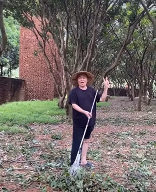 Trước đó, nghệ sĩ Xuân Hinh đăng tải ảnh dọn dẹp biệt phủ và cho biết may mắn vì không cây nào bị bật gốc sau trận bão vừa qua. Ảnh chụp màn hình