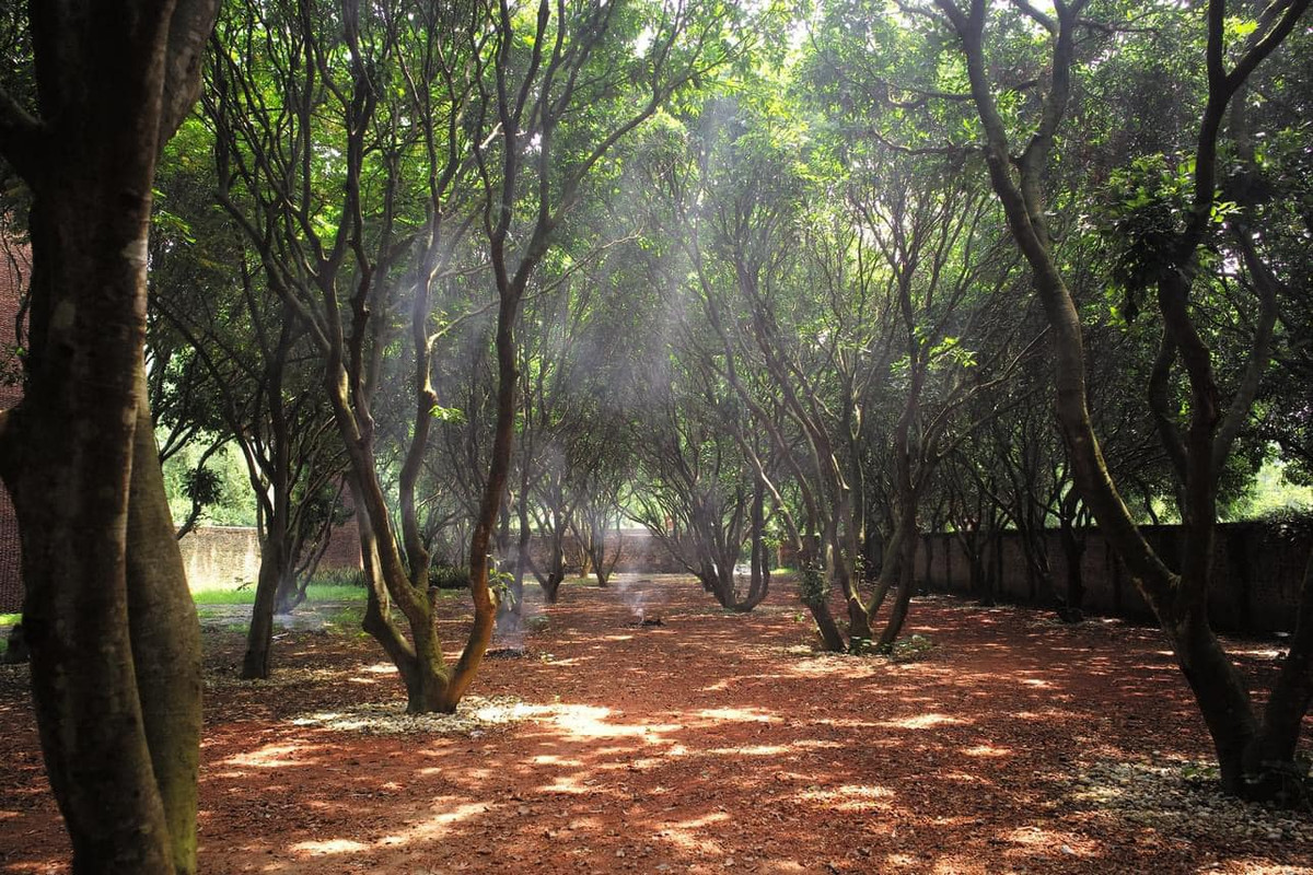 Xuân Hinh cho biết dành hết số tiền kiếm được nhờ đi diễn suốt hơn 40 năm sự nghiệp cho công trình này. Ảnh: FB Xuân Hinh