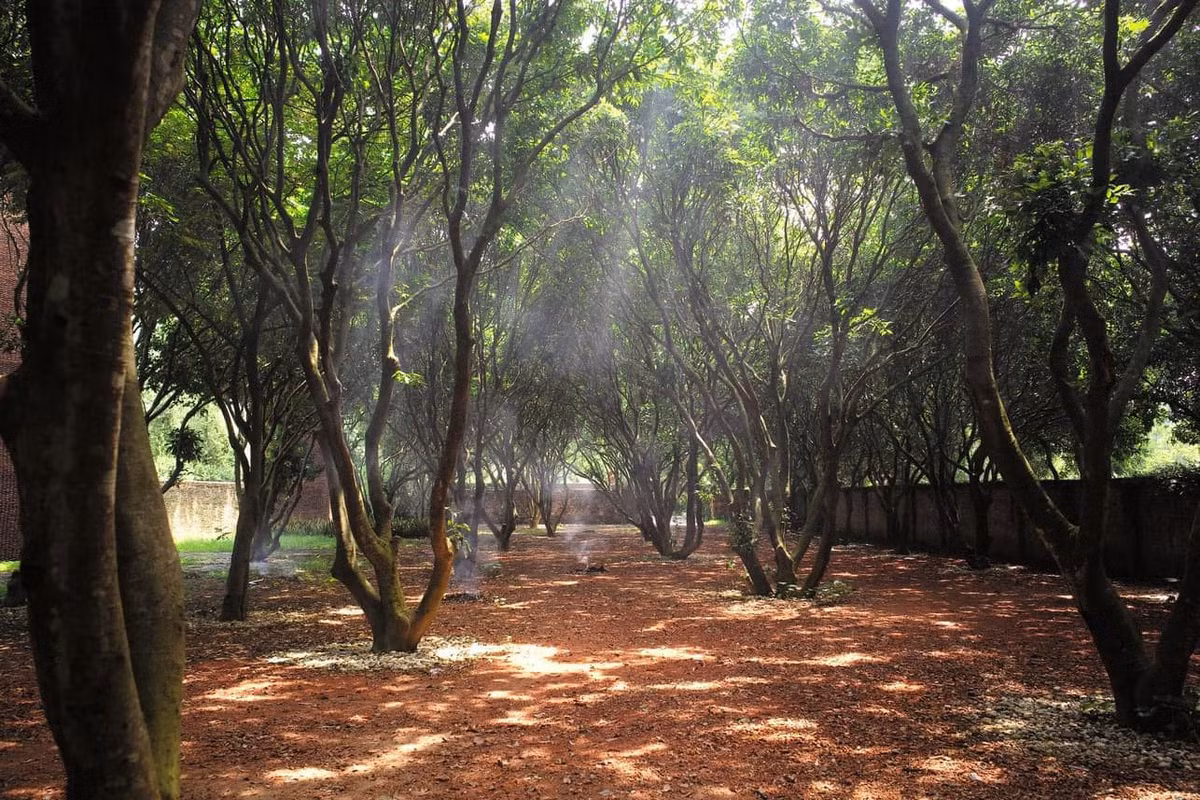 Xuân Hinh cho biết dành hết số tiền kiếm được nhờ đi diễn suốt hơn 40 năm sự nghiệp cho công trình này. Ảnh: FB Xuân Hinh