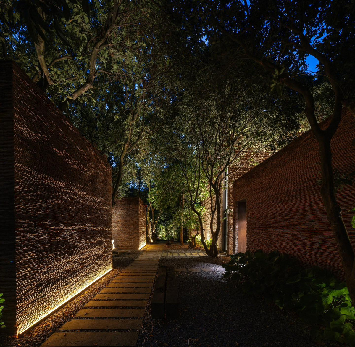 Các cây cổ thụ được trồng san nhau, tạo thành bức tường tự nhiên vững chắc chống lại sự càn quét của gió bão. Ảnh: FB Xuân Hinh