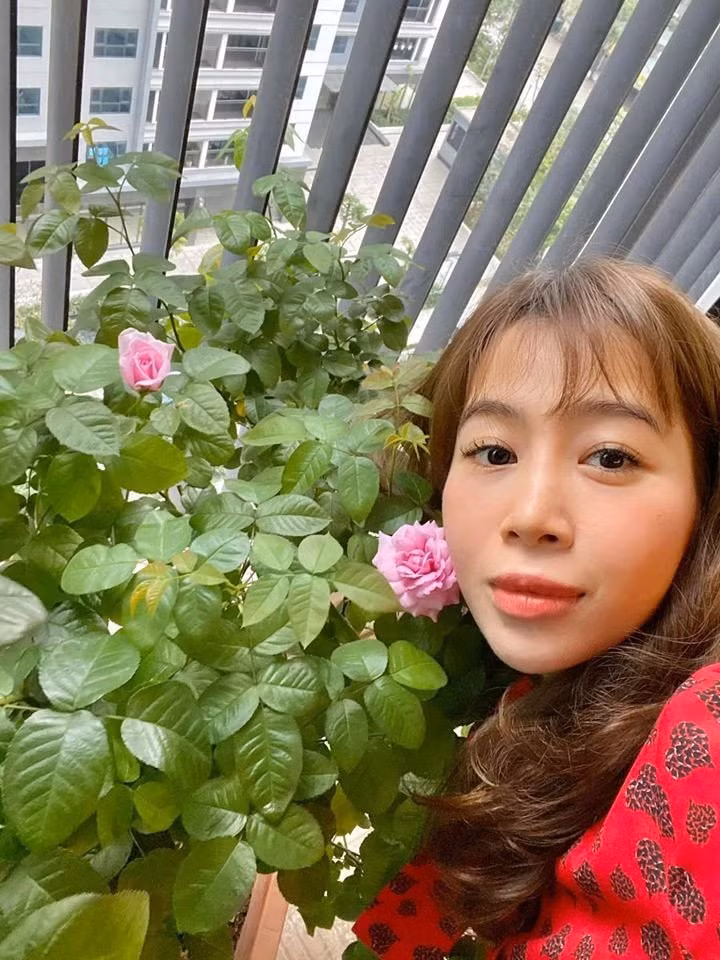 Bên cạnh đó, MC Diệp Chi còn trồng hoa hồng.