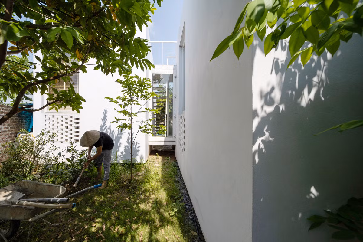 Cây trồng xung quanh đều là cây tạo bóng mát và mang lại lợi ích kinh tế như bưởi, khế.... Ảnh: HoangLe Photography