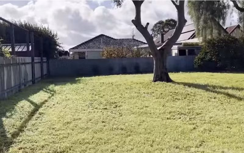 Phía trước nhà là không gian sân vườn xanh mướt, có thể tổ chức tiệc BBQ ngoài trời.