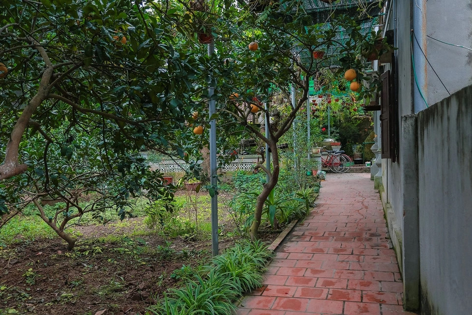 Không gian vườn xanh mướt làm giảm đi cái oi bức của mái ngói, sân gạch. Ảnh: Dân trí