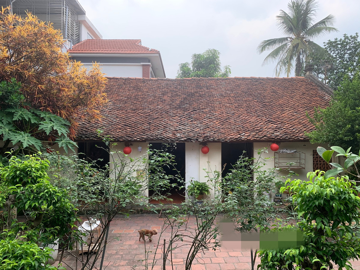 Phía trước nhà là khoảng sân to, rộng lát gạch, trồng nhiều cây và hoa. Ảnh; Dân Việt