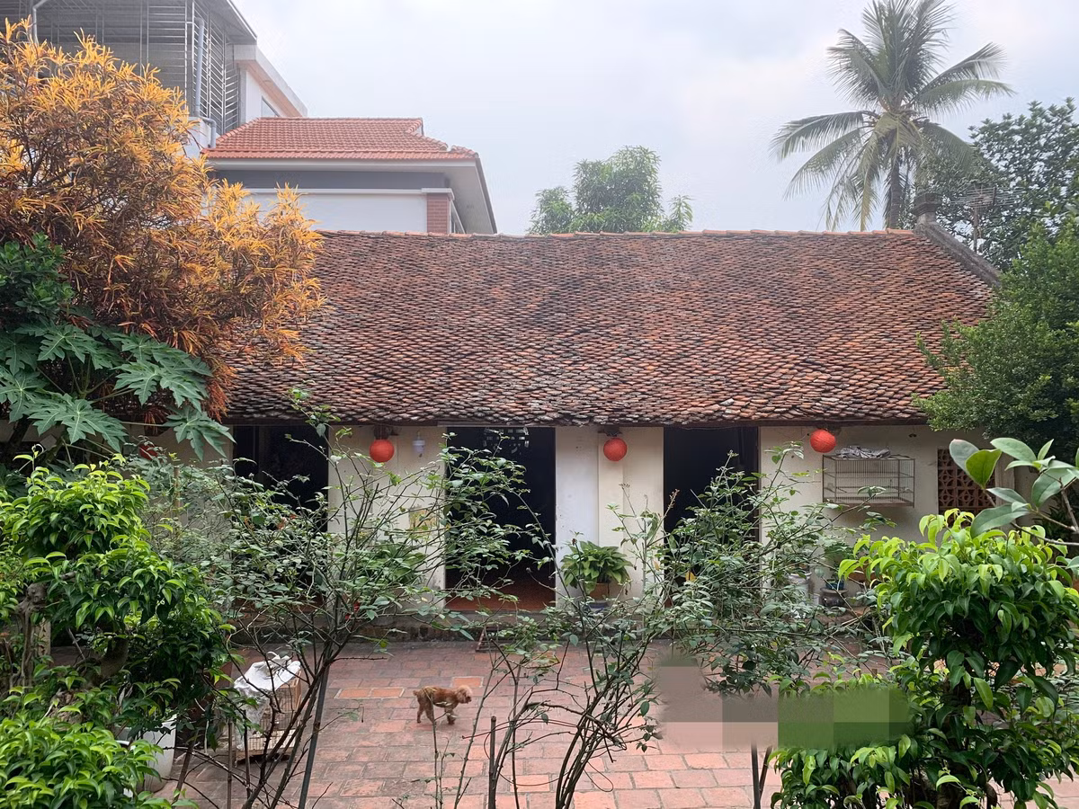 Phía trước nhà là khoảng sân to, rộng lát gạch, trồng nhiều cây và hoa. Ảnh; Dân Việt