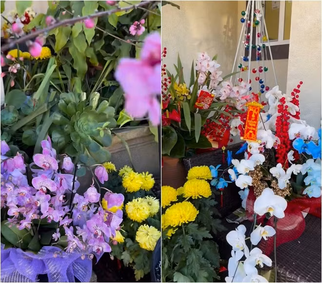 Phía trong nhà còn có nhiều cây và hoa khác.