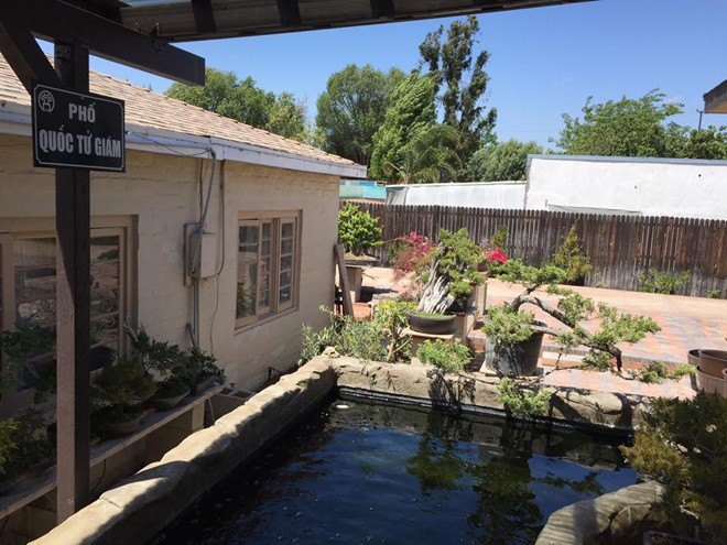 Nam ca sĩ còn có thú chơi bonsai, nhiều cây giá trị cao.