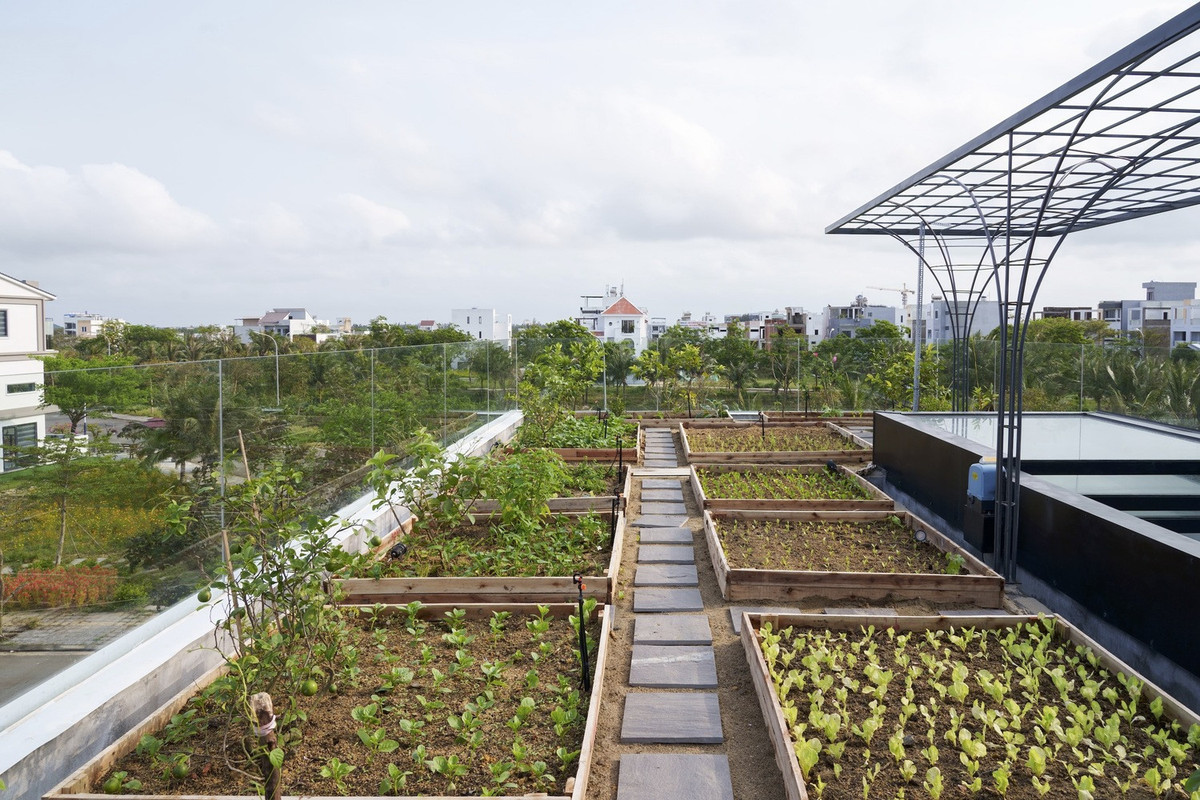 Nha 2 tang thiet ke an tuong, tan dung toi da dien tich trong rau sach-Hinh-10