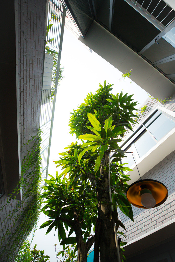 Để đối phó với khí hậu nóng và gió mạnh quanh năm, khoảng sân trong và mái được thiết kế trong vai trò là lớp vỏ xanh bao phủ mọi không gian, giúp lọc gió nóng.