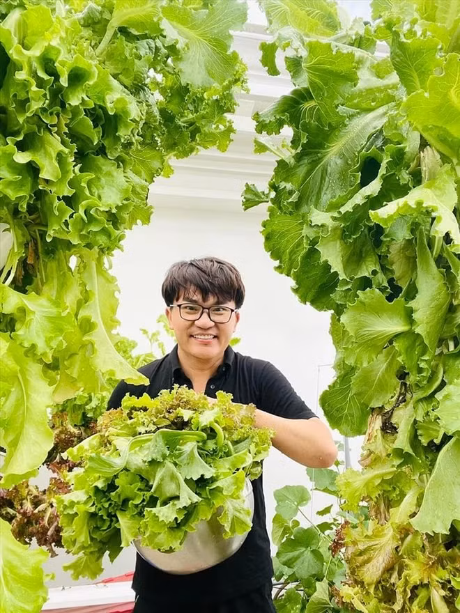 Nhờ chăm sóc kỹ nên vườn rau tươi tốt và không sâu bệnh.