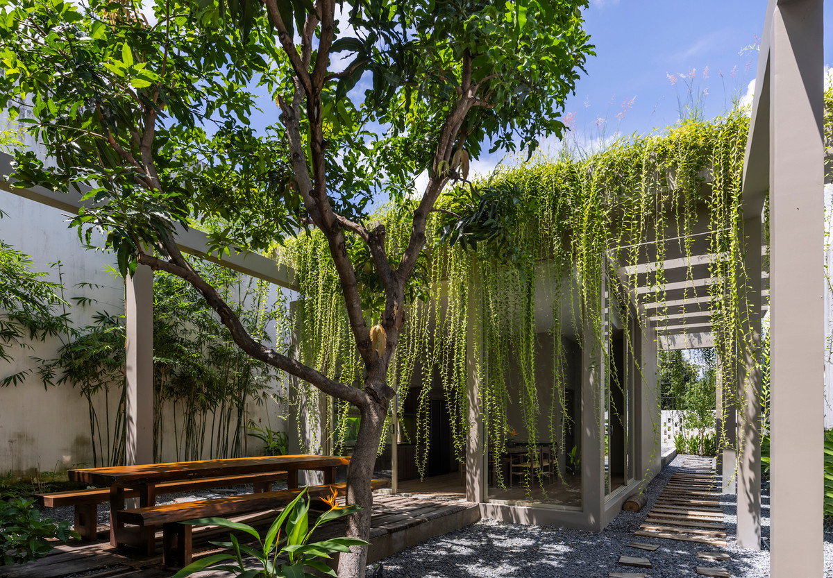 Ngăn cách giữa hai khu vực là một cây xoài lớn. Cây xoài có sẵn trên khu đất và yêu cầu được bảo tồn nguyên hiện trạng.