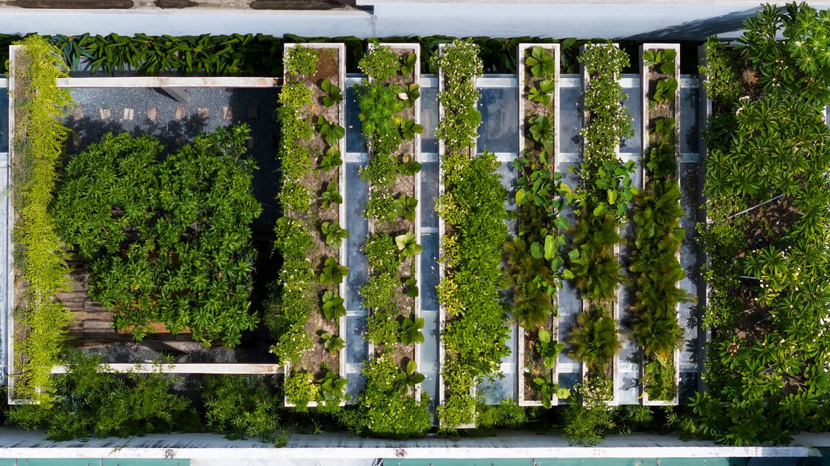 Điểm nhấn của tòa nhà văn phòng là cây xanh được bố trí khắp không gian. Đặc biệt mái nhà được phủ xanh tạo bầu không khí mát mẻ cho không gian phía dưới.