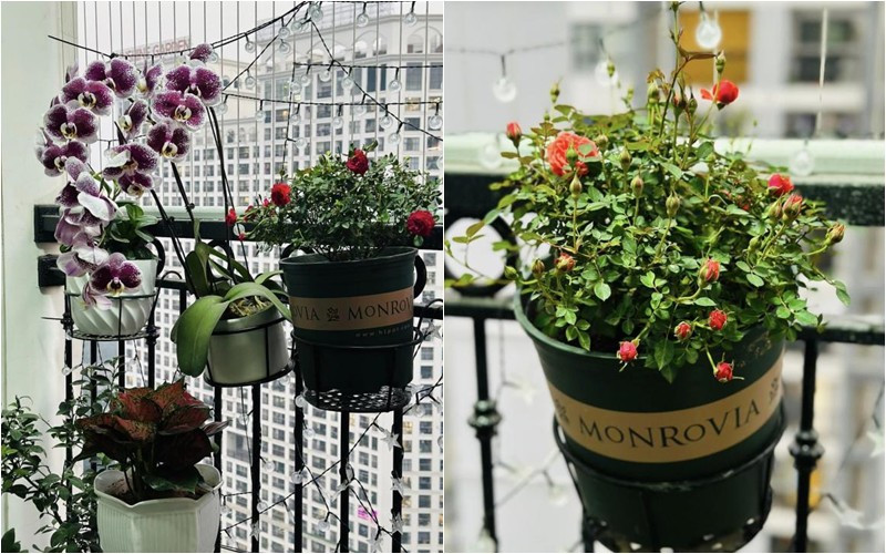 Ban công được trang trí bằng những chậu hoa xinh xắn. Ảnh: FBNV