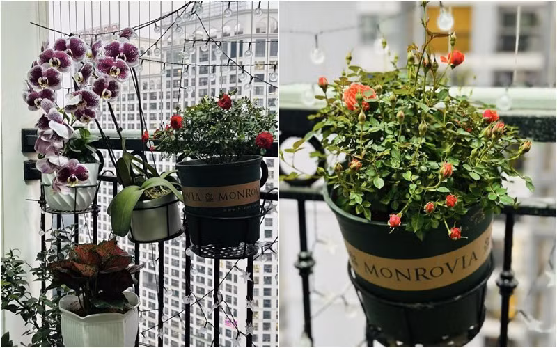 Ban công được trang trí bằng những chậu hoa xinh xắn. Ảnh: FBNV