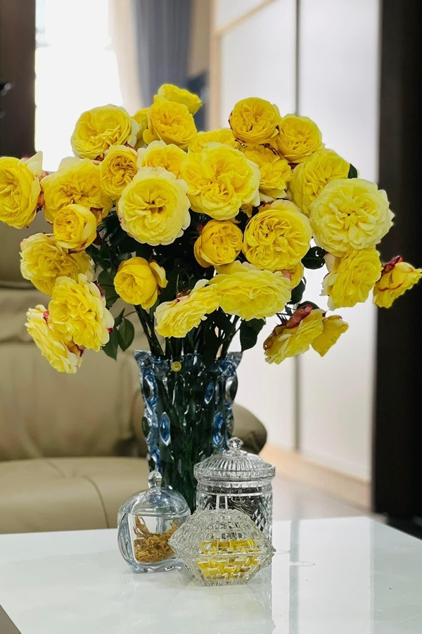 Trên trang cá nhân, thi thoảng Ngọc Hà hé lộ không gian nhà, cô thích thú với việc decor, trang trí nhà cửa. Ảnh: FBNV