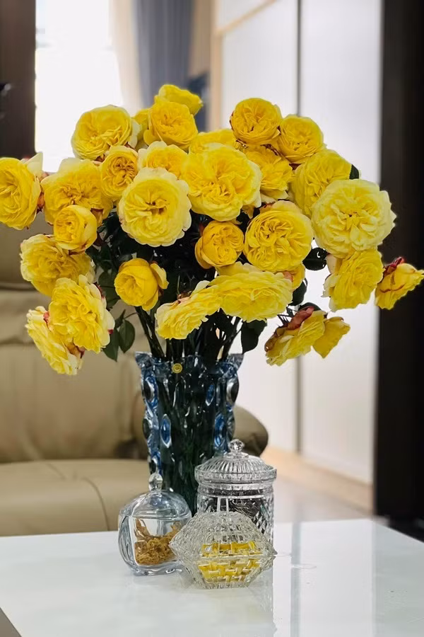 Trên trang cá nhân, thi thoảng Ngọc Hà hé lộ không gian nhà, cô thích thú với việc decor, trang trí nhà cửa. Ảnh: FBNV