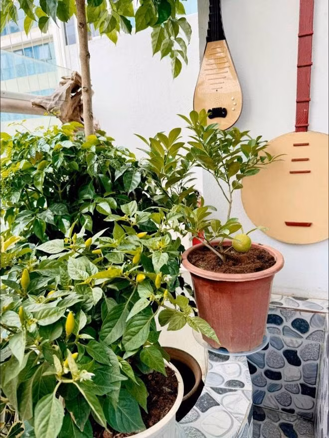 Ban công trong nhà Tự Long được trang trí với nhiều cây xanh, hoa tươi, thác nước mini... Ảnh: FBNV