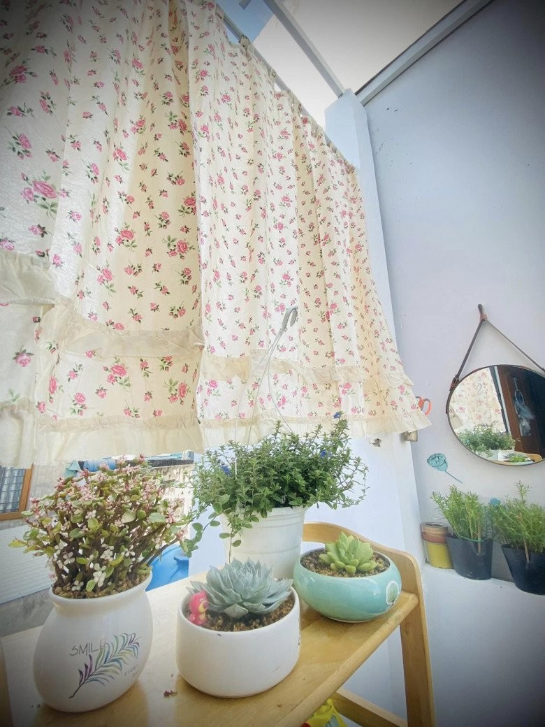 Những chậu cây nhỏ xinh không chỉ mang lại vẻ đẹp thẩm mỹ mà còn giúp cải thiện chất lượng không khí, tạo không gian sống trong lành.